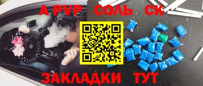 тгк Кингисепп
