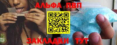 тгк Кингисепп