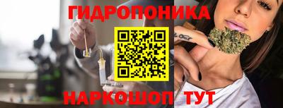 эйфоретик Кимры