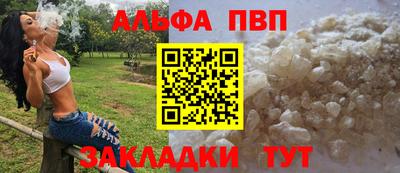 тгк Кингисепп