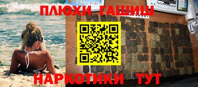 тгк Кингисепп