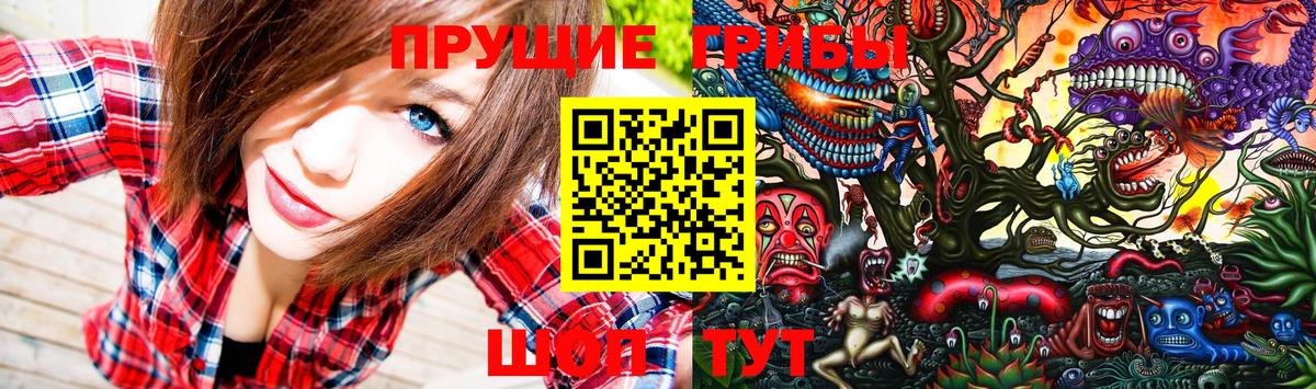 Псилоцибиновые грибы GOLDEN TEACHER  Вход с VPN  Новый Уренгой  Галлюциногенные грибы мицелий 