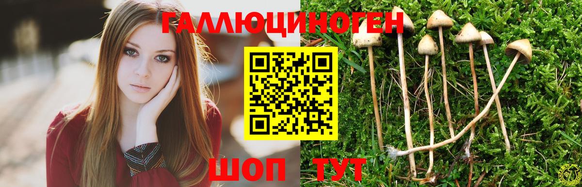 Галлюциногенные грибы мицелий Новый Уренгой